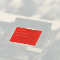 Fisher 1999 annual report