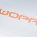 W.O.P.A.: Walking on Pennsylvania Avenue