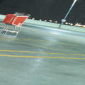 Whitney 2000 Biennial Exhibition
