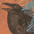 Audubon’s Watch