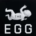 The Egg Code book