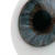 Your New Glass Eye book