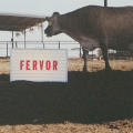 Fervor Creative Stationery