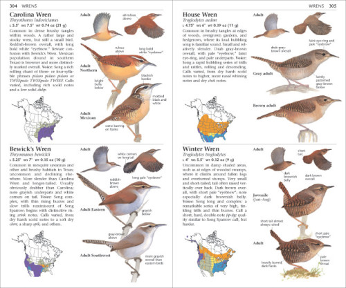 Sibley Field Guide to Birds of Eastern/Western North America