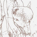 Depression Dog
