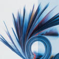 The Folio: Show promotional material