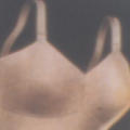 Catalog