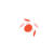 Adobe Studio identity