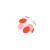 Adobe Studio identity