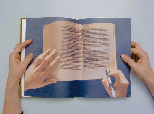 Ann Hamilton: Tropos