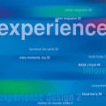 Nathan Shedroff's World website