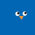 Hoot
