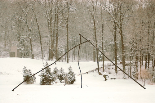 Larkin's Twig
