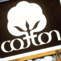 Cotton identity