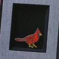 Birds of Manhattan