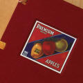 Autumn Full of Apples