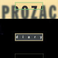 Prozac Diary