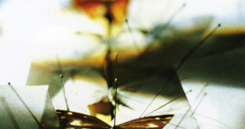 “Mimic” Title Sequence