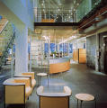 Steelcase Worklife New York Environmental Graphics