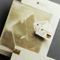 Steve Belkowitz Identity System