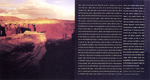 Nike 1995 Annual Report