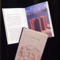 Carnegie International 1995
