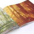 L’Amour Inspiration Book