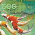 SEE: The Potential of Place, Spring 2005