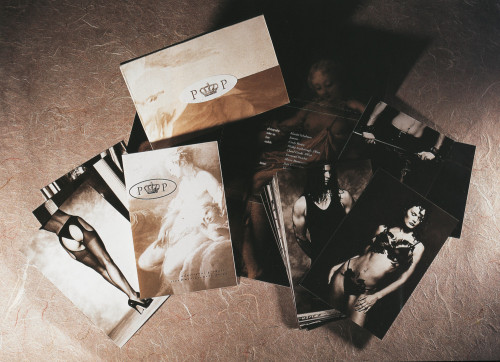 Pleasure Place Direct Mailer