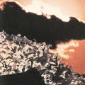 "The Search for Beauty" Brochure