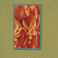 Calendar 1991