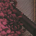 Expanding Horizons Searle 1991 Annual Report