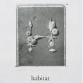 Habitat, Summer 1991