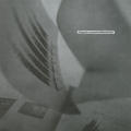 Escagenetics