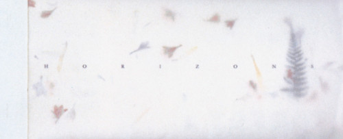 Horizons
