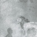 The Animals
