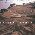 Michael Heizer: Effigy Tumuli