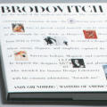 Brodovitch