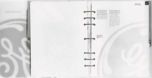 GE Identity Program