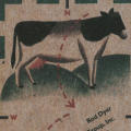 Rod Dyer Group Inc. Design & Advertising