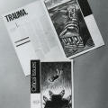 Critical Issues: Trauma Care