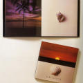 Seashells & Sunsets