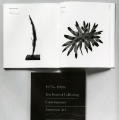 1976–1986; Ten Years of Collecting Contemporary American Art—Selections from the Edward R. Downe, Jr. Collection