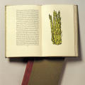 Acetaria: A Discourse of Sallets