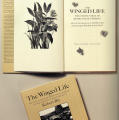 The Winged Life
