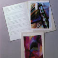 Compact Video 1985 Annual Report
