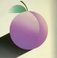 Fruit Series Registration Posters