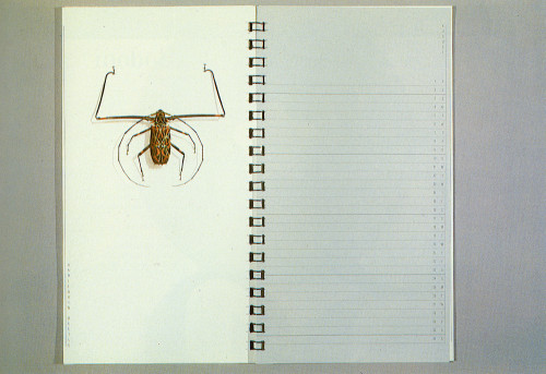 Entomology