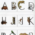 Animal Alphabet