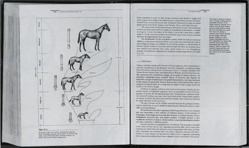 Integrated Principles of Zoology